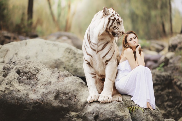 Žena sedí pri tigrovi.jpg